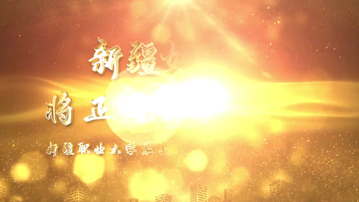 新疆好巴郎，将正气进行到底——新疆职业大学最美大学生见义勇为事迹