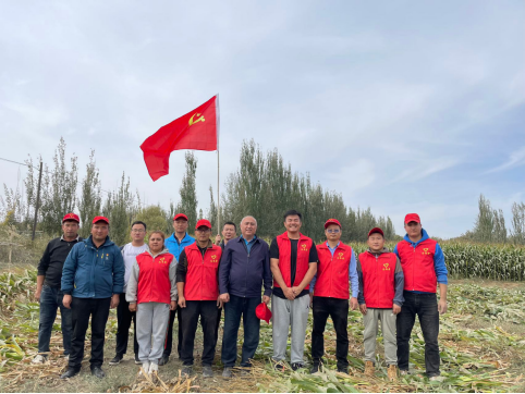 巴什阿其玛村:驻村力量助农抢收彰显党员担当