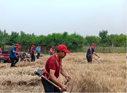 我校”访惠聚“驻村工作队助力夏收,为民解忧